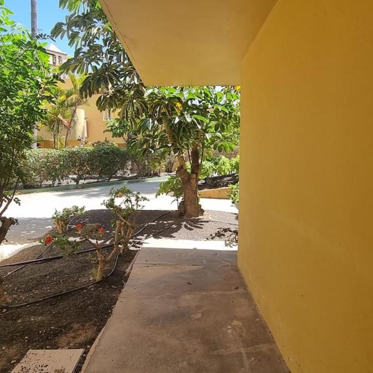 Atlantic Garden Charli Beach - Apartamento de 1 dormitorio - 18