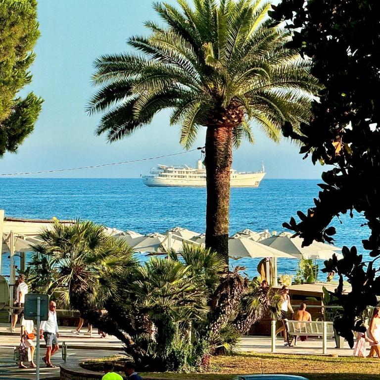 30m2 vue mer terrasse à 1min des plages - Appartement 1 Chambre - 9