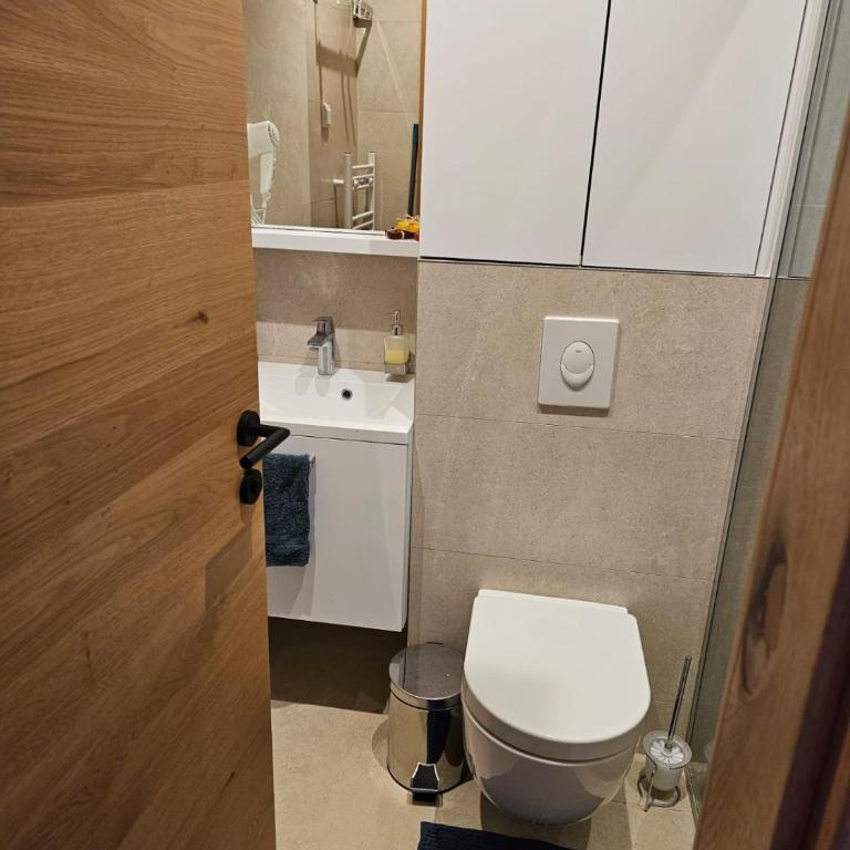 Apartment 308 in aparthotel Zlatni Javor - private host - Apartman sa 1 Spavaćom Sobom - 6