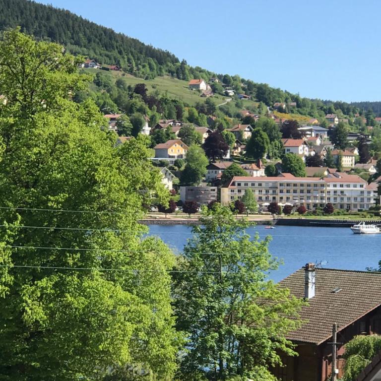 GERARDMER Rés Aubépine 100m du lac Appt 4 personnes - Appartement 1 Chambre - 3