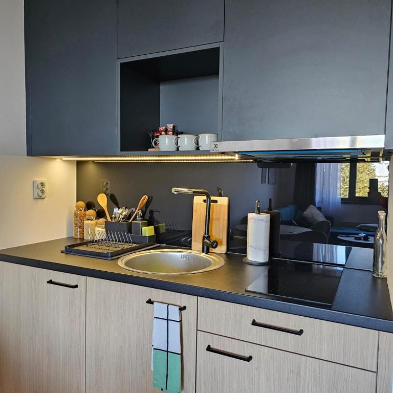 Apartment 308 in aparthotel Zlatni Javor - private host - Apartman sa 1 Spavaćom Sobom - 4