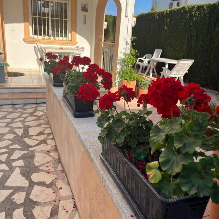 Bougain-casa - Two-Bedroom Apartment - 2