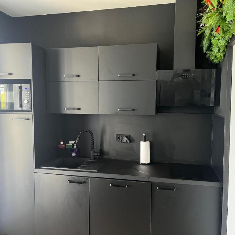BelleRive Love Room - Appartement 1 Chambre - 11