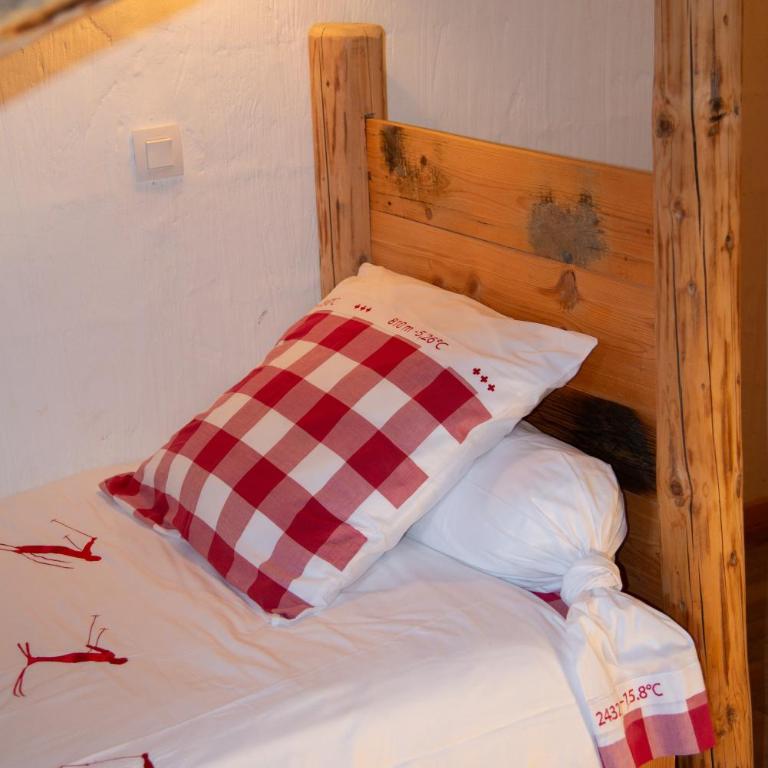 CHALET de charme 13 personnes avec Sauna SKI O PIEDS - Chalet 6 Chambres - 57