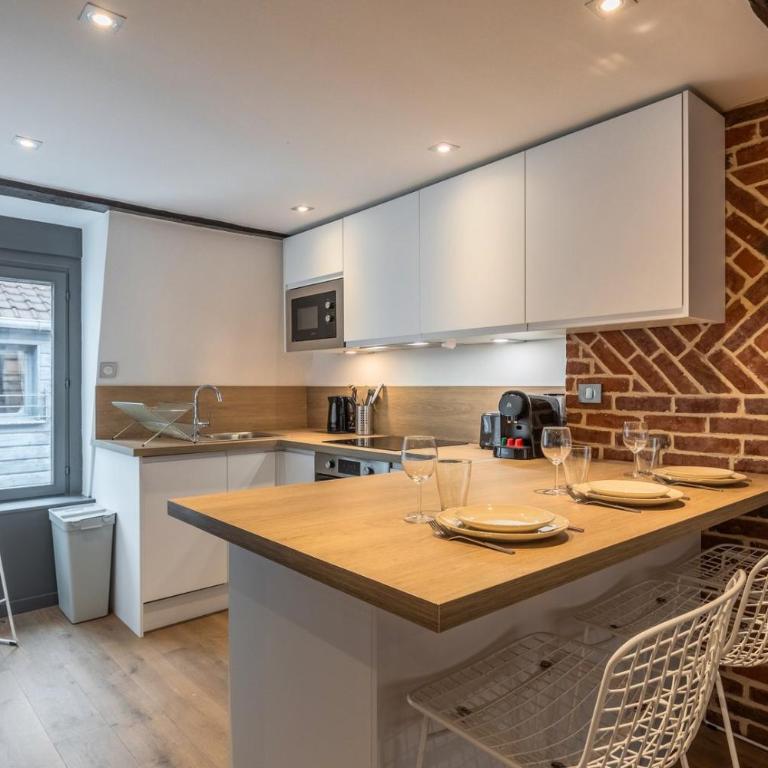 Two bedroom apartment in the heart of Old Lille - Two-Bedroom Apartment - 12