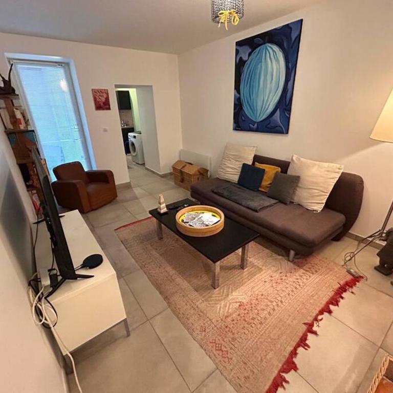 Appartement paisible et charmant au centre ville - Appartamento con 1 Camera da Letto - 15
