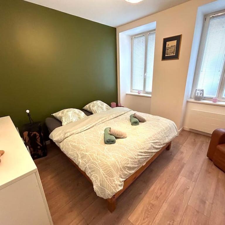 Appartement paisible et charmant au centre ville - Appartamento con 1 Camera da Letto - 17