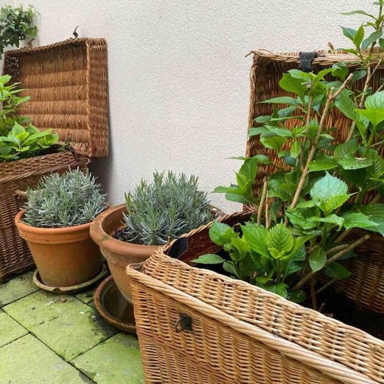 Appartement paisible et charmant au centre ville - Appartamento con 1 Camera da Letto - 27
