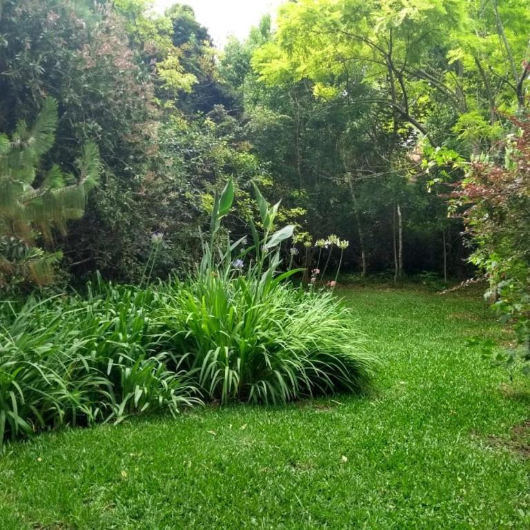 Chalet para 8 o 9 personas, pegado al Bosque Peralta Ramos y a 10 cuadras de las mejores playas del sur de Mar del Plata - Casa de 3 dormitorios - 12