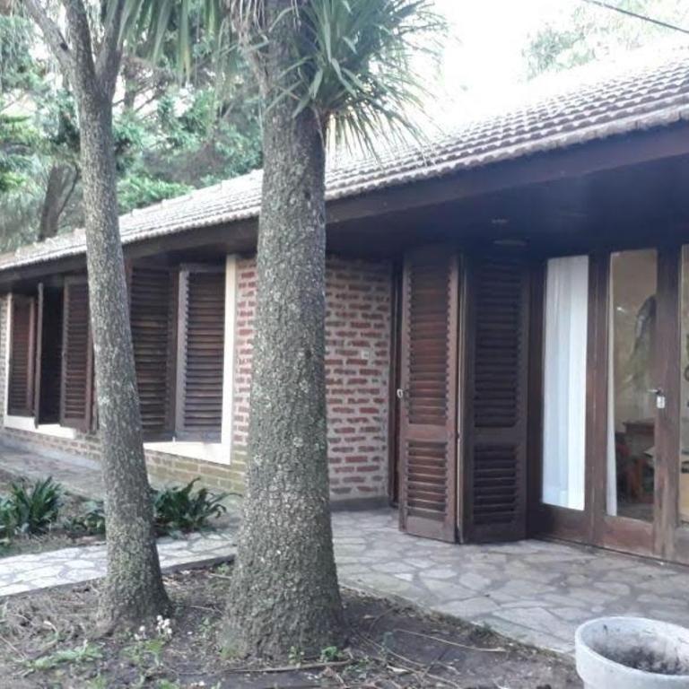 Chalet para 8 o 9 personas, pegado al Bosque Peralta Ramos y a 10 cuadras de las mejores playas del sur de Mar del Plata - Casa de 3 dormitorios - 13