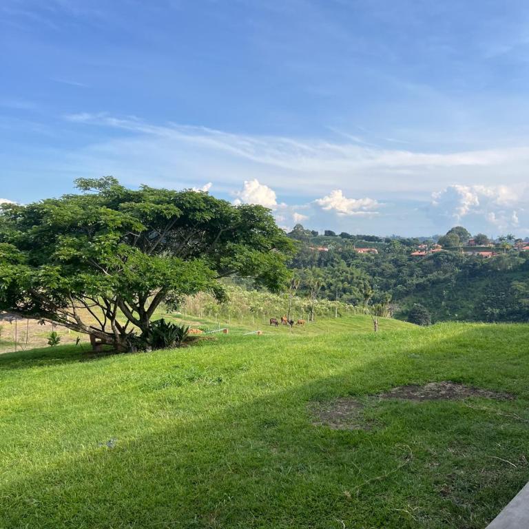 Apartamento en Pereira - Apartamento de 1 dormitorio - 16