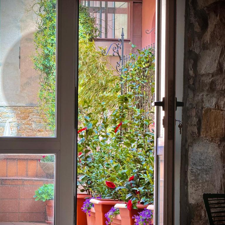 Casa Camelie - Appartamento con 1 Camera da Letto - 14