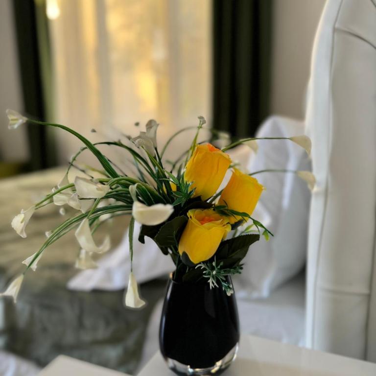 Apartments Villa Stankovic - Apartman sa Terasom - 6