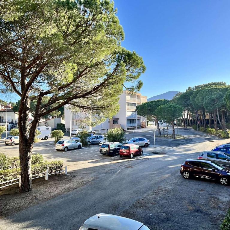 Appartement 2 pièces 4 couchages ARGELES SUR MER AR500-C37 - Apartment - 12