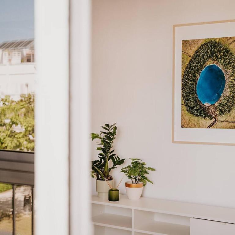 Apartamento Valdés - Ole Solutions - Apartamento de 3 dormitorios - 31