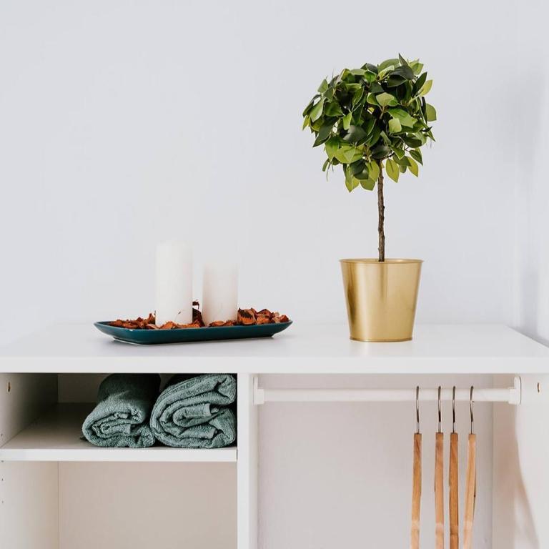 Apartamento Valdés - Ole Solutions - Apartamento de 3 dormitorios - 43