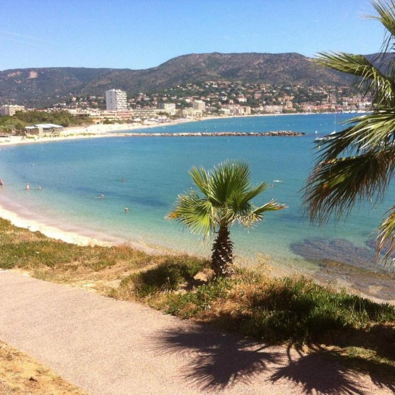 Charmant appartement a Bormes les Mimosas - Apartamento de 1 dormitorio - 7