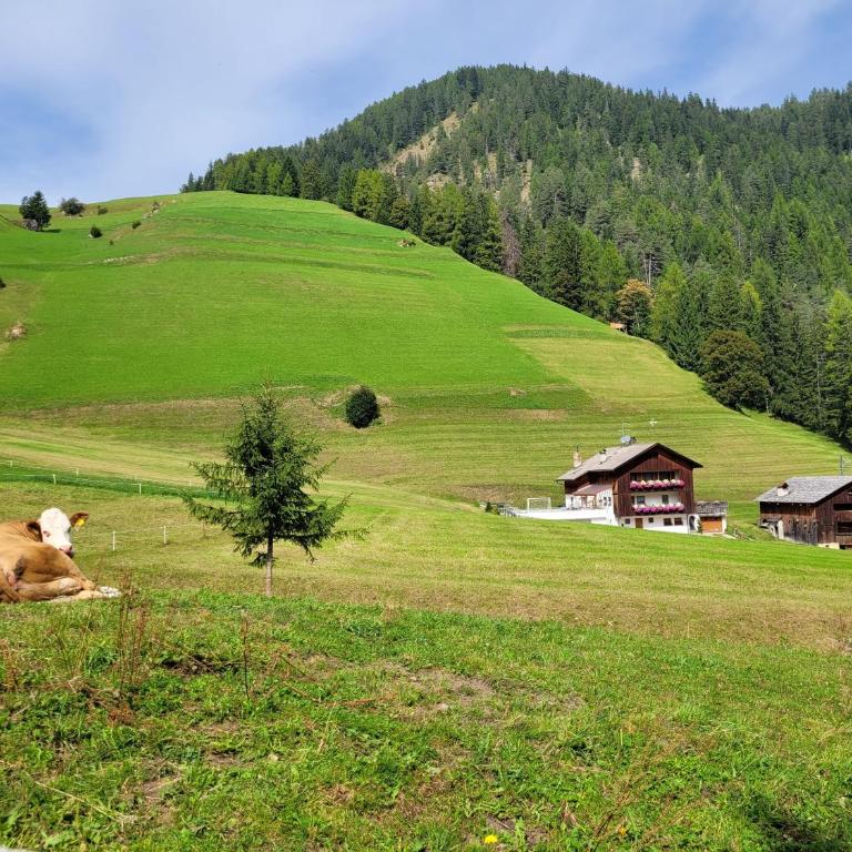 Apartment - Alpin Chalet Frenademetz - Appartamento - 2