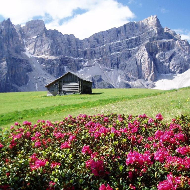 Apartment - Alpin Chalet Frenademetz - Appartamento - 24