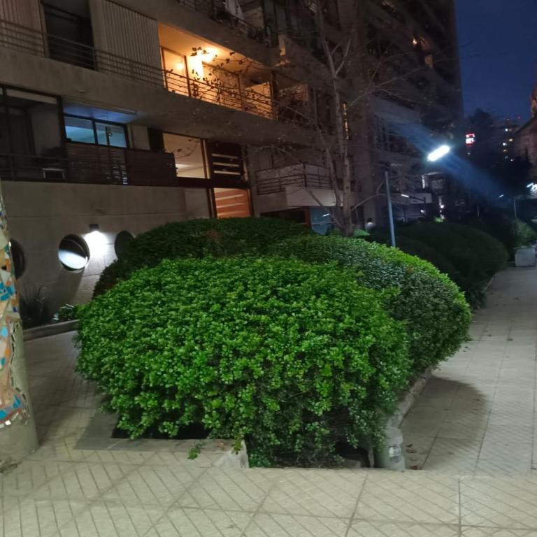 vivir en santiago 2 - One-Bedroom Apartment - 10
