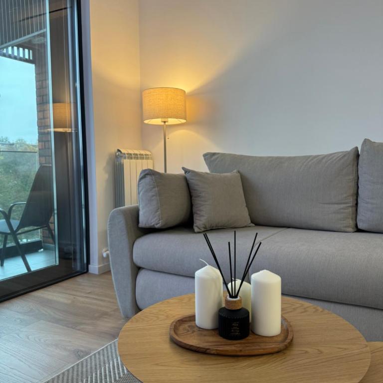 Apartman V park - Apartman sa 1 Spavaćom Sobom - 6