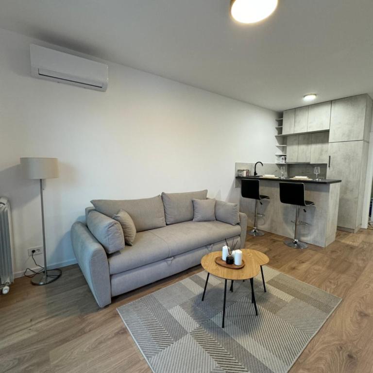 Apartman V park - Apartman sa 1 Spavaćom Sobom - 4