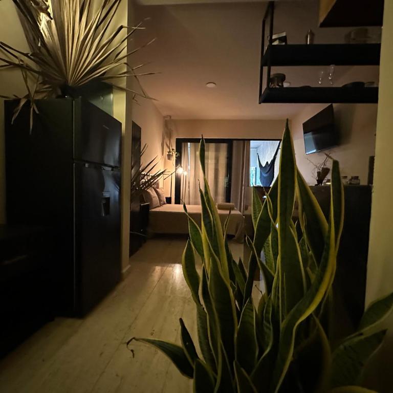 NAIA Tulum - Apartamento de 1 dormitorio - 23