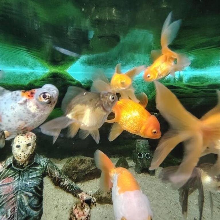 Villa Serenidad - Apartamento de 2 dormitorios - 23