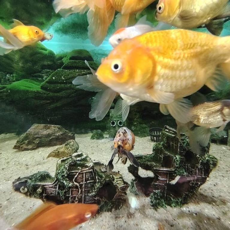 Villa Serenidad - Apartamento de 2 dormitorios - 43