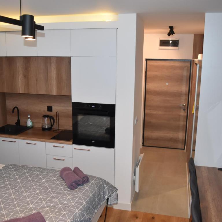 Apartment Delight - Family Studio - 5