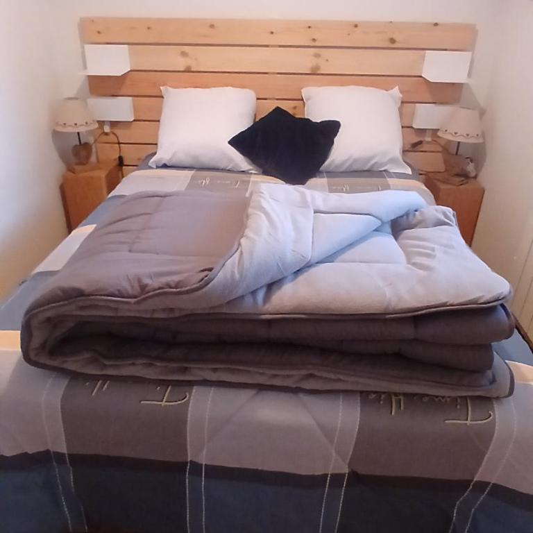 Appar T2 3 lits vue montagne terrasse vielle aure - Appartement 2 Chambres - 4