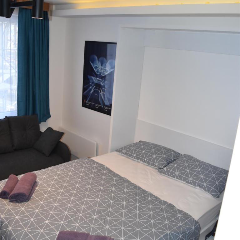 Apartment Delight - Family Studio - 4