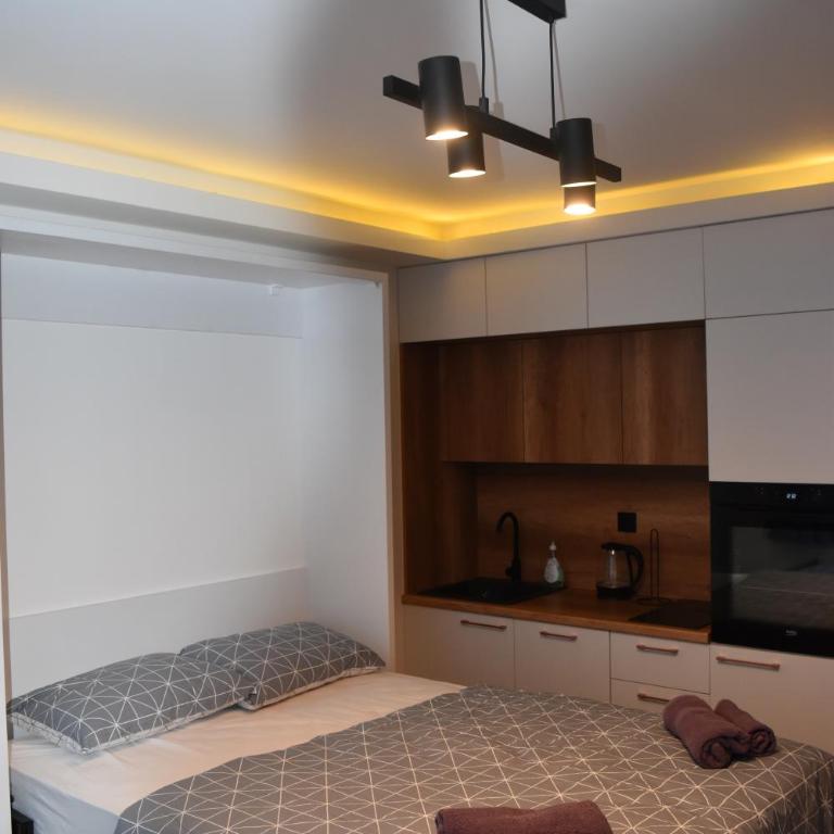 Apartment Delight - Family Studio - 6