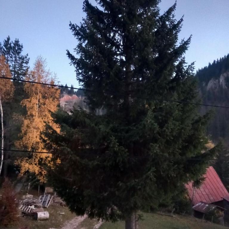 Dorabella - Apartman sa 1 Spavaćom Sobom - 2