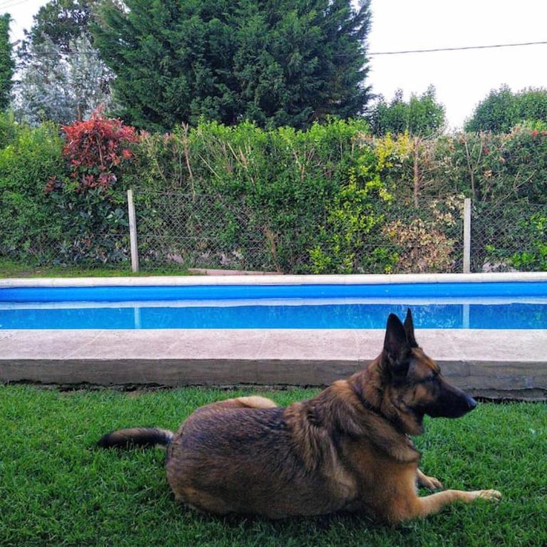 La casita de sierra, a pasitos de Mar del Plata ACLARACION leer info del perfil del anfitrion - Casa de 2 dormitorios - 14