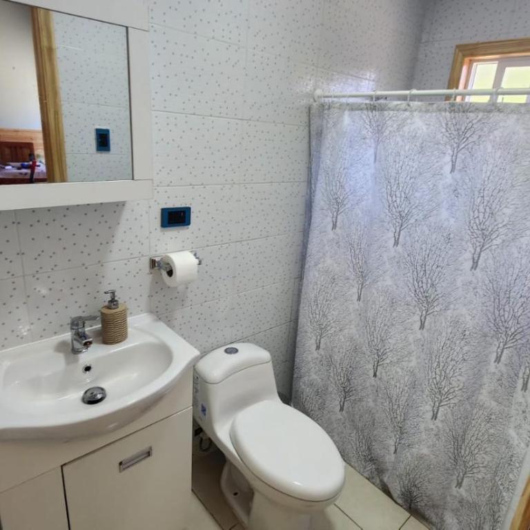 Cabañas IGMA en Bahía Murta - One-Bedroom House - 6