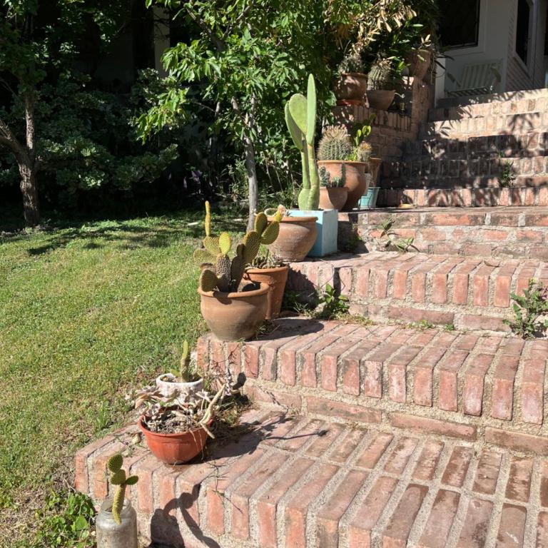 Cabañas el Bierzo - Casa de 2 dormitorios - 14