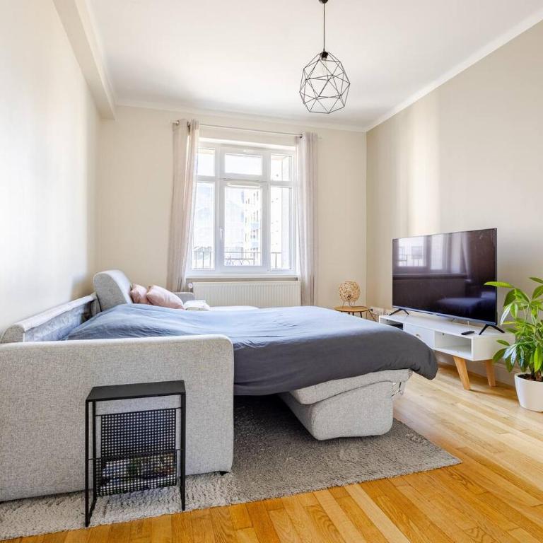 Les chambres du Graoully - Le 109 - Metz Gare - Parking inclus - NO S-model - Appartement 1 Chambre - 7