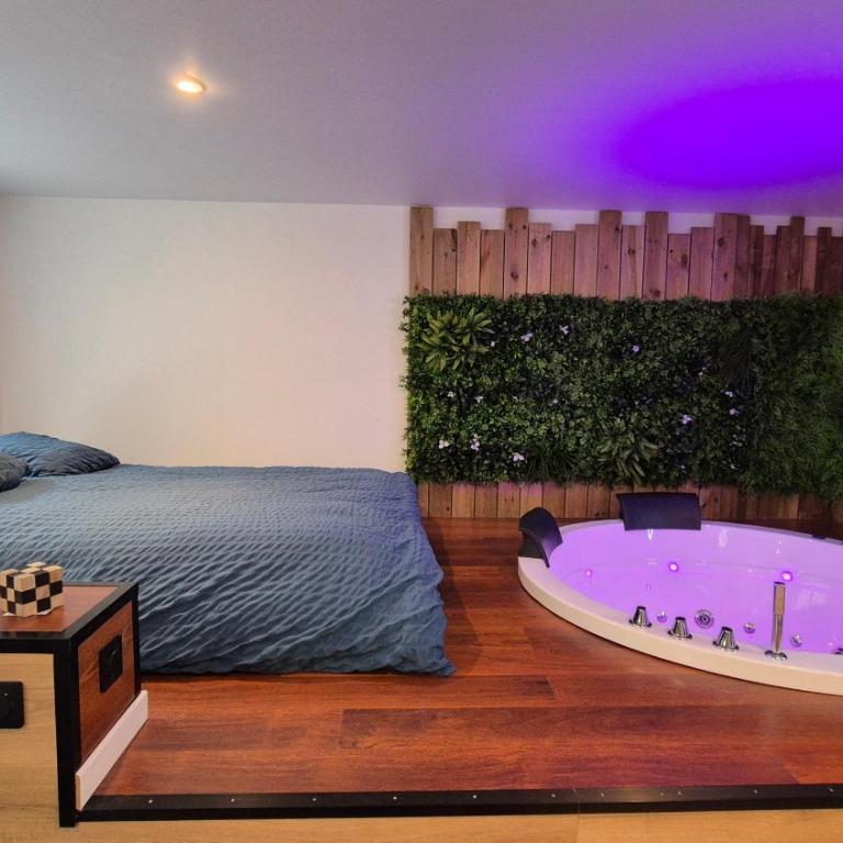 Balnéo Nuits Tranquilles Rouen - Apartment mit 1 Schlafzimmer - 8