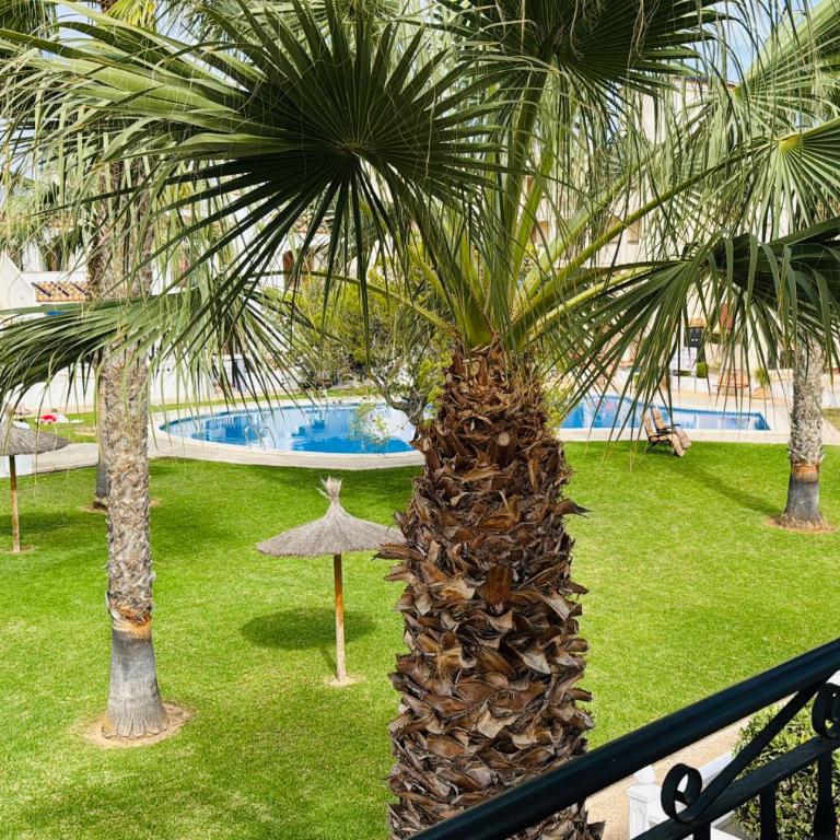 Casa Up - Orihuela Costa - Apartamento de 2 dormitorios - 29