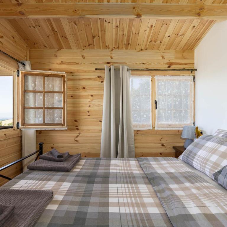 Agriturismo e Maneggio Poggio Leone - Bungalow con 1 Camera da Letto - 9
