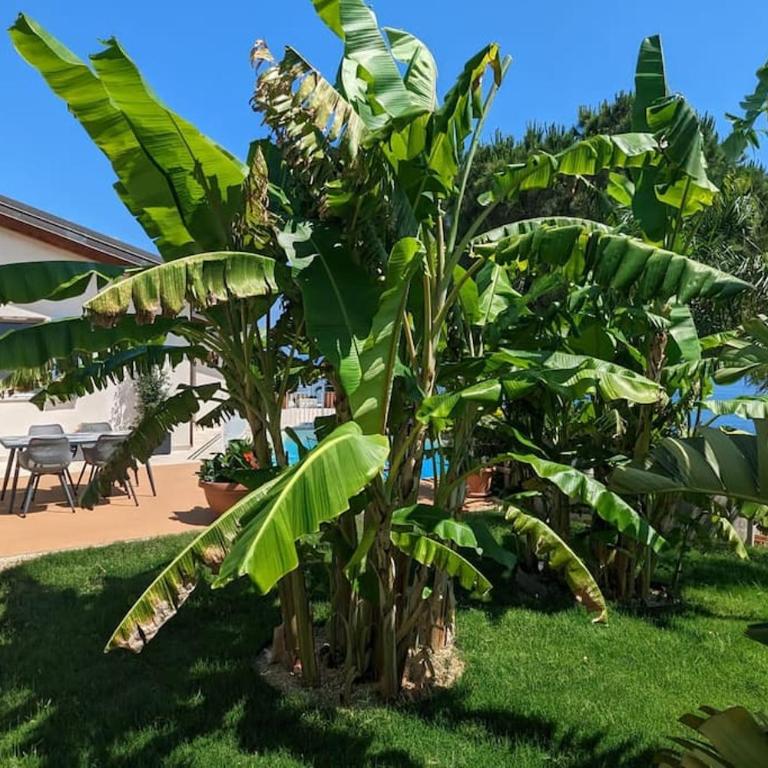 Villetta con Piscina su Terrazza vista mare - Appartamento con 1 Camera da Letto - 16