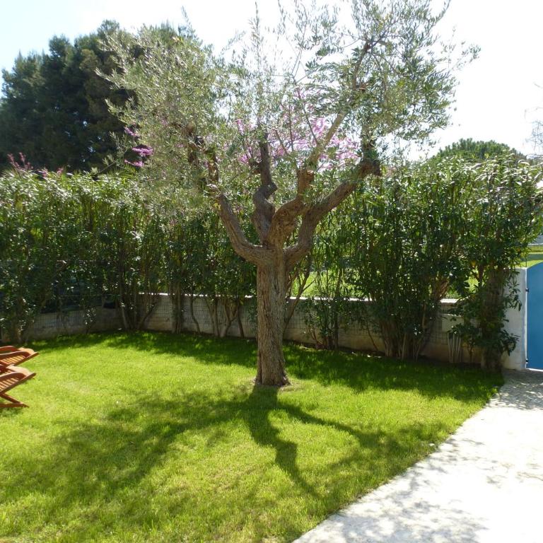 499 - Villetta trilocale nel centro di Marcelli, con giardino, vicino al mare - CLIMATIZZATO, SPIAGGIA INCLUSA - Appartamento con 2 Camere da Letto - 2