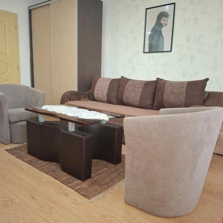 Apartman NIKOLIJA Vrnjačka Banja - Deluks Studio - 2