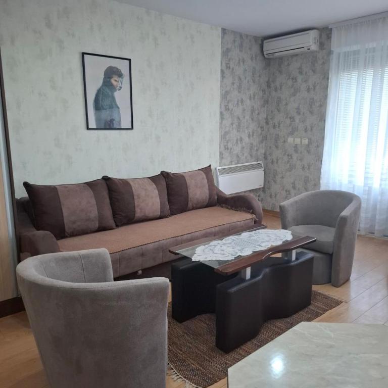 Apartman NIKOLIJA Vrnjačka Banja - Deluks Studio - 4