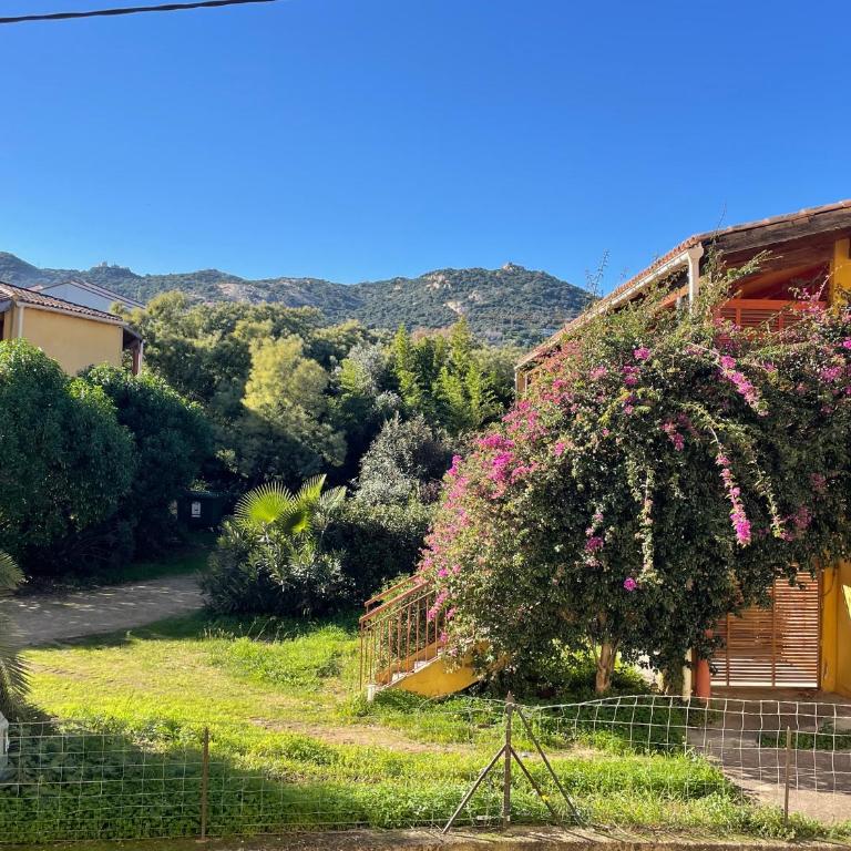 Studio Paradis à Calvi Parking privé en option - GR20 Télétravail - Estudio con balcón - 4