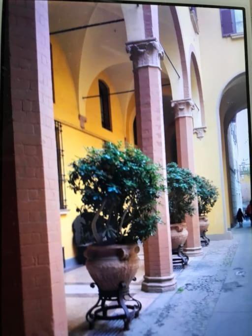 Cozy and quiet Suite near Two Towers, Bologna - Appartamento con 1 Camera da Letto - 19