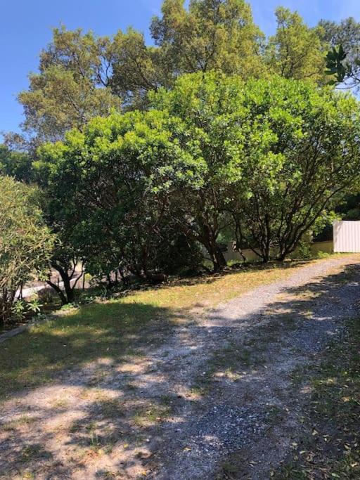 Villa CapFerret sous les pins,bassin et océan à pied - Villa - 17
