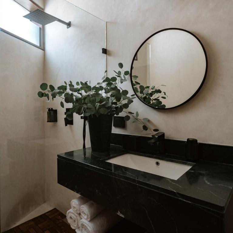 Casa Armonela, 5 minutes from Paseo Montejo - Casa - 6