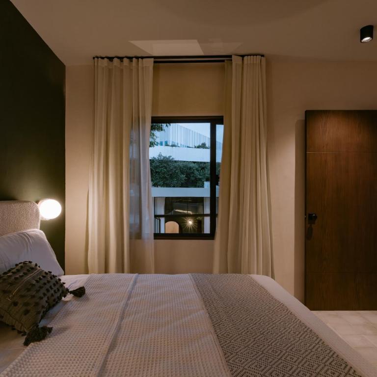 Casa Armonela, 5 minutes from Paseo Montejo - Casa - 13